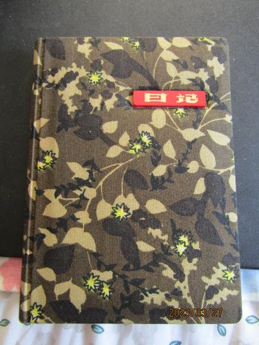80年代天津36开缎面日记本 武术运动插图 内新无字迹