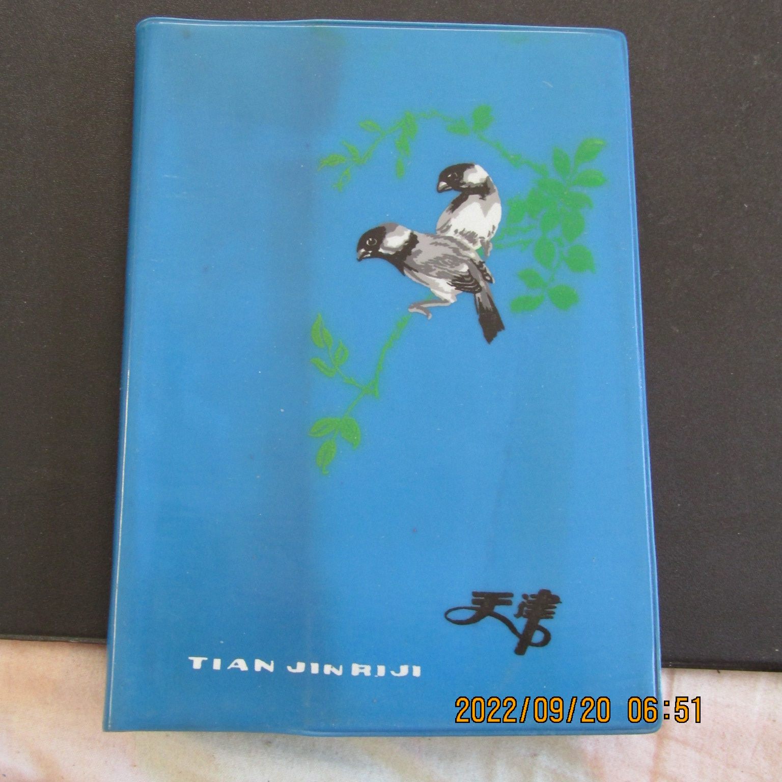 1978年天津”翠鸟“蓝塑皮36开日记本 民族服饰插图 內新无笔