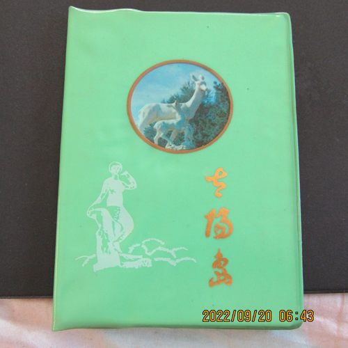 80年代“太阳岛”绿塑皮36开日记本 太阳岛景点插图 內新无笔迹