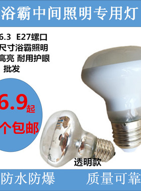 浴霸中间照明小灯泡 加长小灯泡 钨丝灯LED灯泡 40W 220VE27螺口