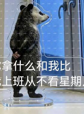 可爱爆款负鼠表情包亚克力立牌