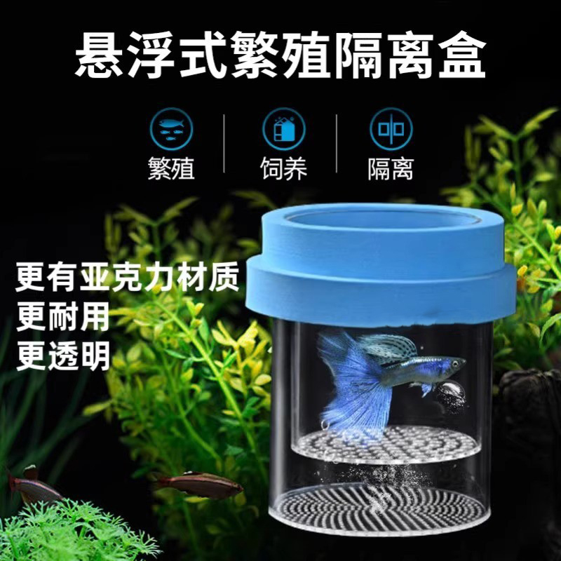 鱼缸悬浮式孔雀鱼繁殖隔离盒