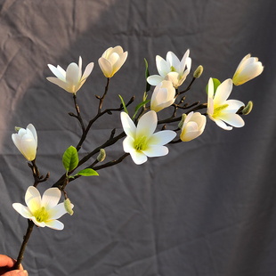 仿真花玉兰花假花干花花束客厅家居装 中式 饰花摆设塑料花花艺摆件