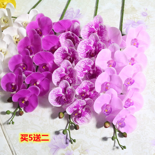 PU真手感过胶蝴蝶兰仿真兰花 假花 单枝绢花装饰家居插花单支兰花 - 封面