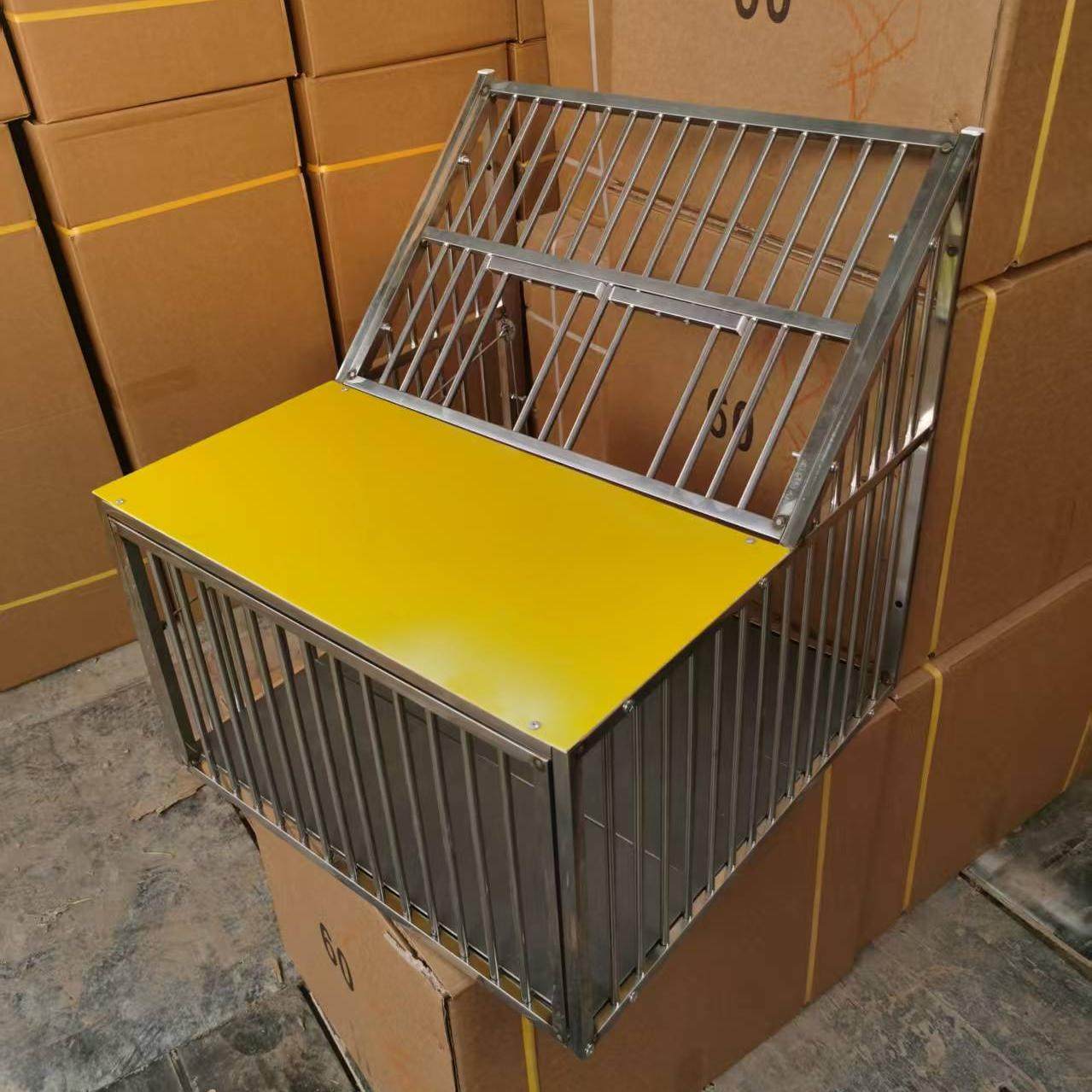 鸽子养殖笼不锈钢跳笼放飞进入一体