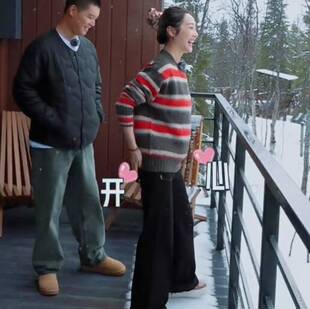 原版妻子的浪漫旅行2026李纯同款毛衣女衣服秋冬圆领针织衫上衣潮