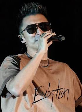 欧洲明星谢霆锋重庆演唱会同款太阳眼镜男女ins复古欧美墨镜潮