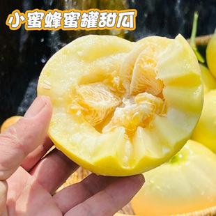 顺丰包邮山东头茬小蜜蜂蜜罐星甜20网红甜瓜现摘新鲜水果香瓜薄皮