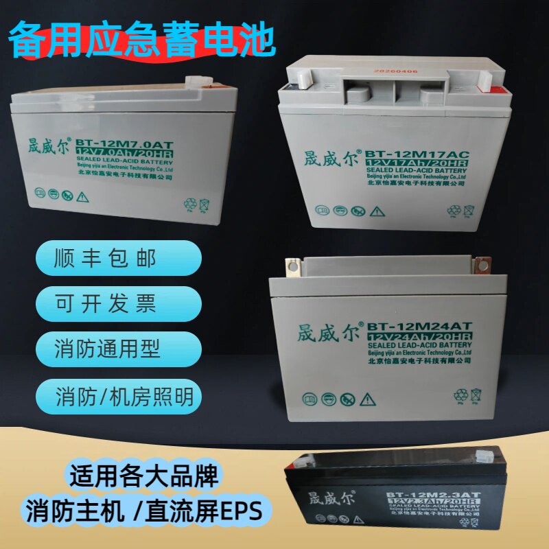 消防主机蓄电池12V泰和安BT-12M图片