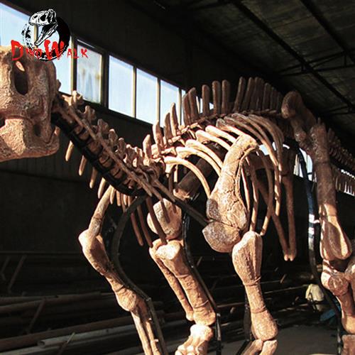 博物馆恐龙古生物化石扶绥龙禽龙骨架骨骼大型逼真玻璃钢模型标本