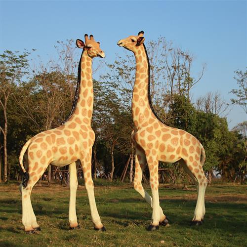 新户外大型仿真长颈鹿玻璃钢雕塑假动物模型园区景观草坪装饰摆件