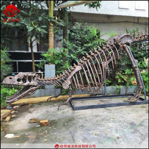 恐龙仿真骨架霸王龙牛龙化石模型大型动物骨骼标本定做厂家