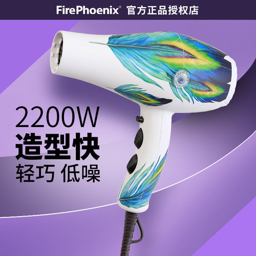 正品火之凤吹风机8960发廊专用