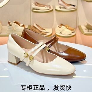 KISSCAT接吻猫2026方头粗跟金币玛丽珍鞋双条带扣女鞋K76117A-10