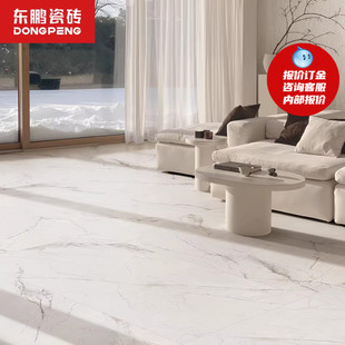 东鹏瓷砖寒江雪地板砖地砖瓷砖哑光简约大理石瓷砖750x1500仿古砖