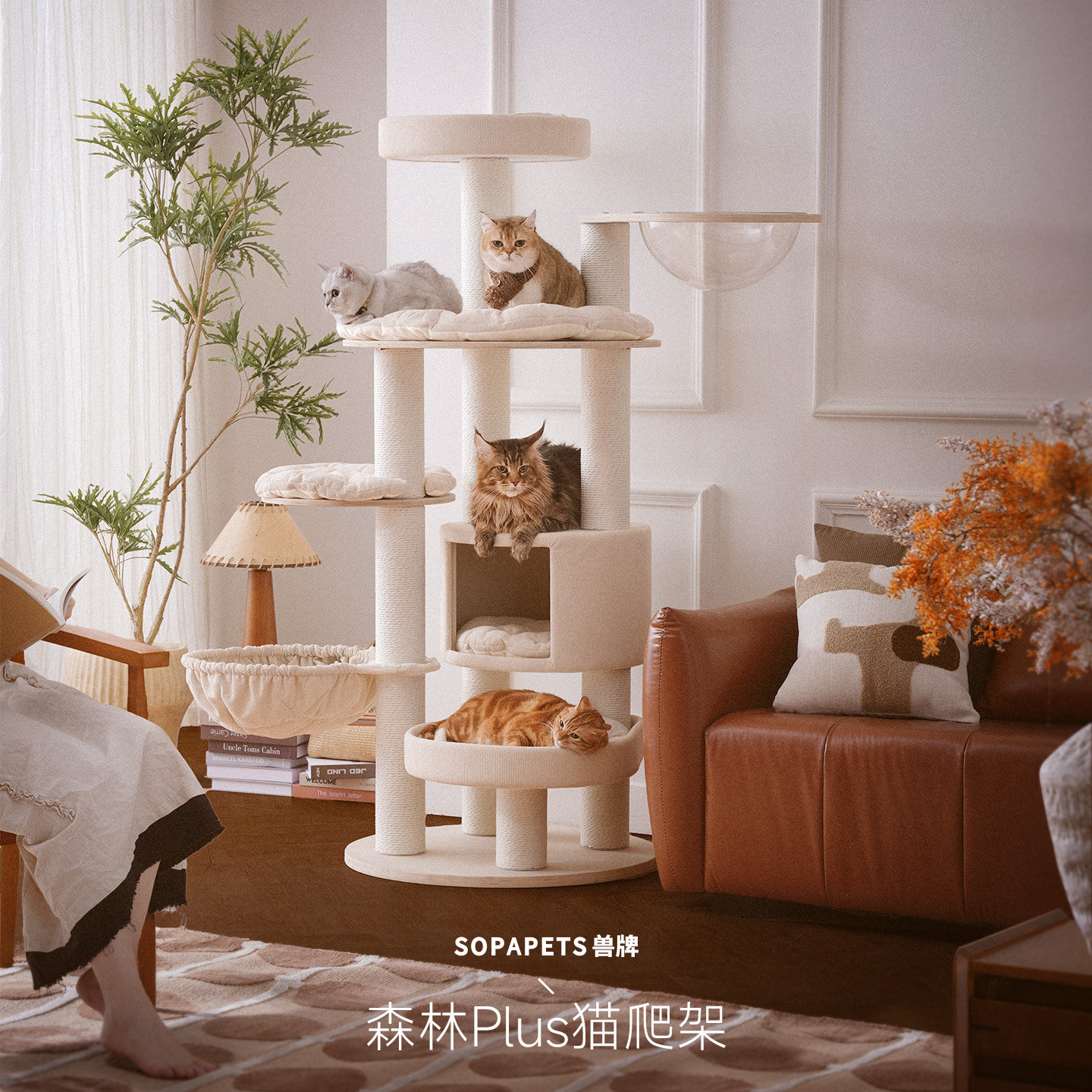 兽牌森林实木大型猫爬架家用小户型不占地大猫专用猫窝猫抓板一体图片