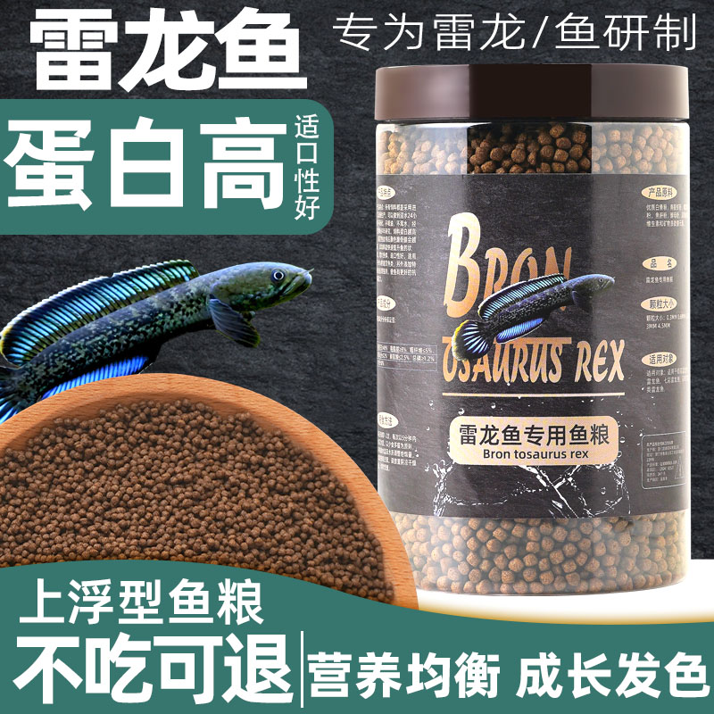 雷龙鱼饲料阿萨姆黄金眼镜蛇雷龙