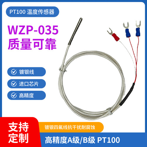 PT100铂热电阻电偶探头式