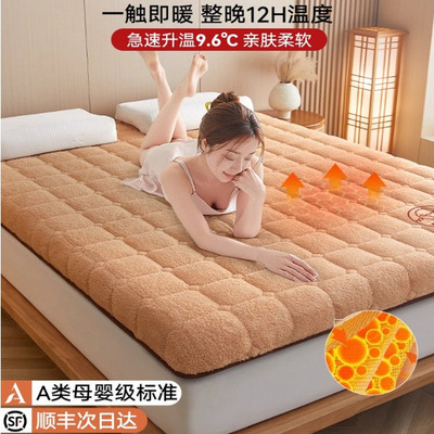 德国进口羊羔绒床垫软垫卧室褥子