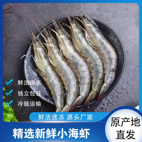 【姐夫】东山岛海捕小海虾 速冻锁鲜20只左右/斤 到手3斤