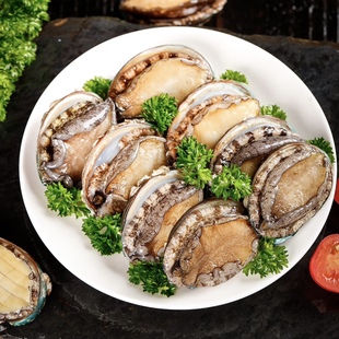 【姐夫】福建东山岛活冻九孔鲍12头鲍鱼10个/包 液氮速冻锁鲜海