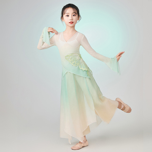 儿童舞蹈服女童蝴蝶古典舞纱衣飘逸超仙舞台演出服中国风练功服