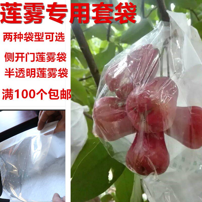 Wax apple Dedicated Bagging Open the door Wax apple Bagging WINDOW Bag Bird Rain Wax apple Dedicated translucentin the Flower delivery/Flowers simulation/Plants gardening , Gardening supplies , Other Garden Supplies  category - from Buy2taobao.com to provide professional Taobao agent buy service