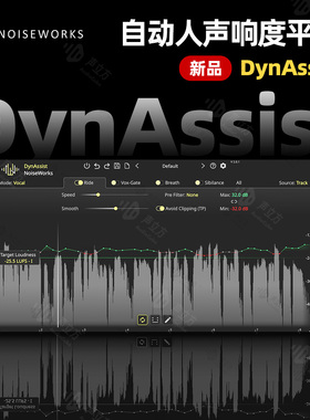NoiseWorks DynAssist 自动人声增益响度平衡解放双手效率插件