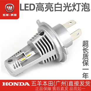 五羊本田H4 LED白光大灯泡睿御猛鸷远近光摩托车踏板车电动车通用