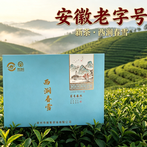 老字号滁州特产施集新茶西涧春雪绿茶