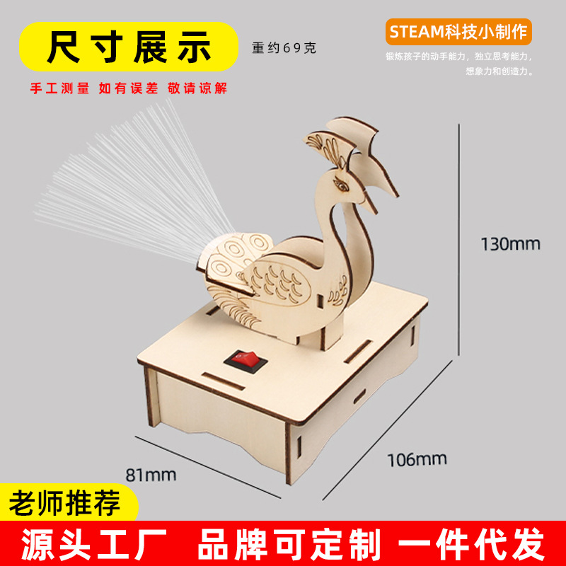 科教前沿教具DIY光纤灯孔雀开屏科学实验儿童学生玩具科技小制作