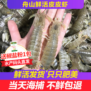 【保鲜不保活】舟山大皮皮虾鲜活海鲜水产野生虾爬子虾姑活虾海虾