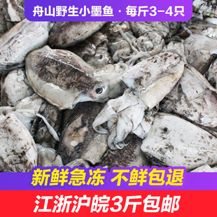 舟山野生墨鱼新鲜墨斗鱼小墨鱼目鱼鲜活海鲜冷冻水产生鲜