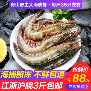 大滑皮虾超大青壳虾舟山野生海虾新鲜哈氏仿对虾海鲜水产