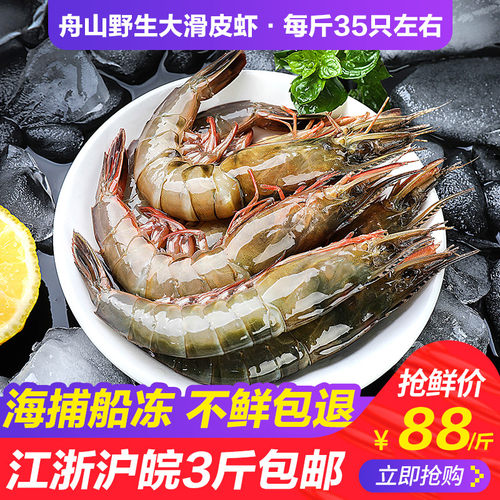 舟山新鲜大滑皮虾青壳虾