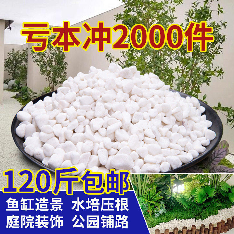 白石子白色小石头花盆洗水培植物造景/装饰