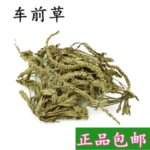 中药材野生车前草车轮菜 牛舌草 整棵全草 500g 包邮