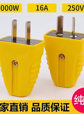 【4000W】16A插头二脚加厚纯铜不带线防摔连体铜大功率电源二叉头
