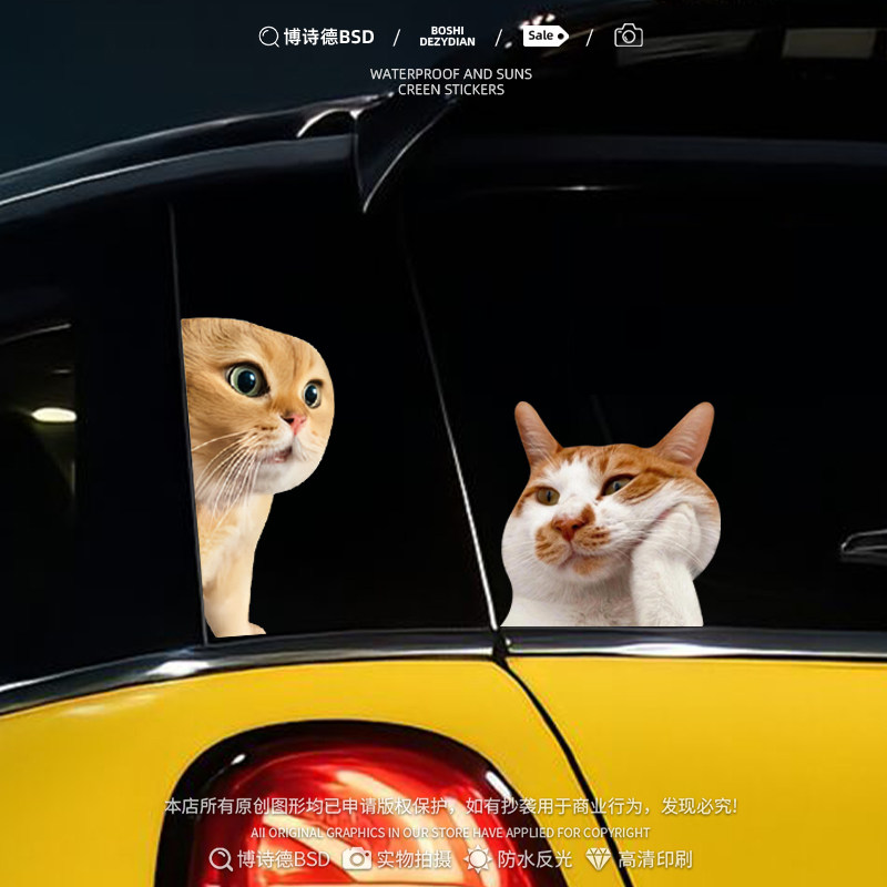 可爱搞笑迷因MEME猫咪惊讶表情包车贴宠物吗喽电动车摩托装饰贴