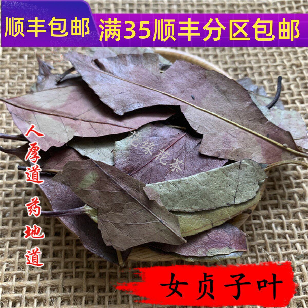 精选 中药材 四季青/冬青叶/女贞子叶 50克 可打粉 满包邮