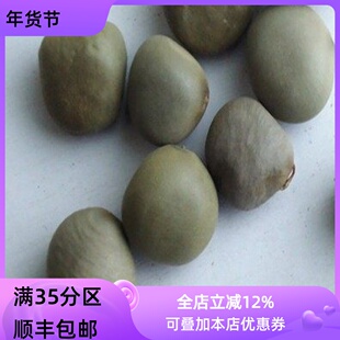 中药材 正品 云实子 云实籽  500g 不可打粉 满包邮