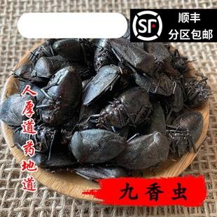 精选 中药材 九香虫 打屁虫 屁巴虫 50克 可打粉 包邮