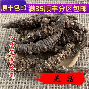 精选 中药材 野 羌活 50克 可打粉 满包邮