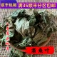 冬 桑叶 包邮 中药材 满 霜桑叶 可打粉 精选 50克