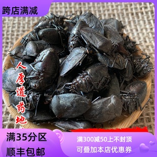 50克 打屁虫 屁巴虫 九香虫 可打粉 同仁堂质量 包邮 中药材