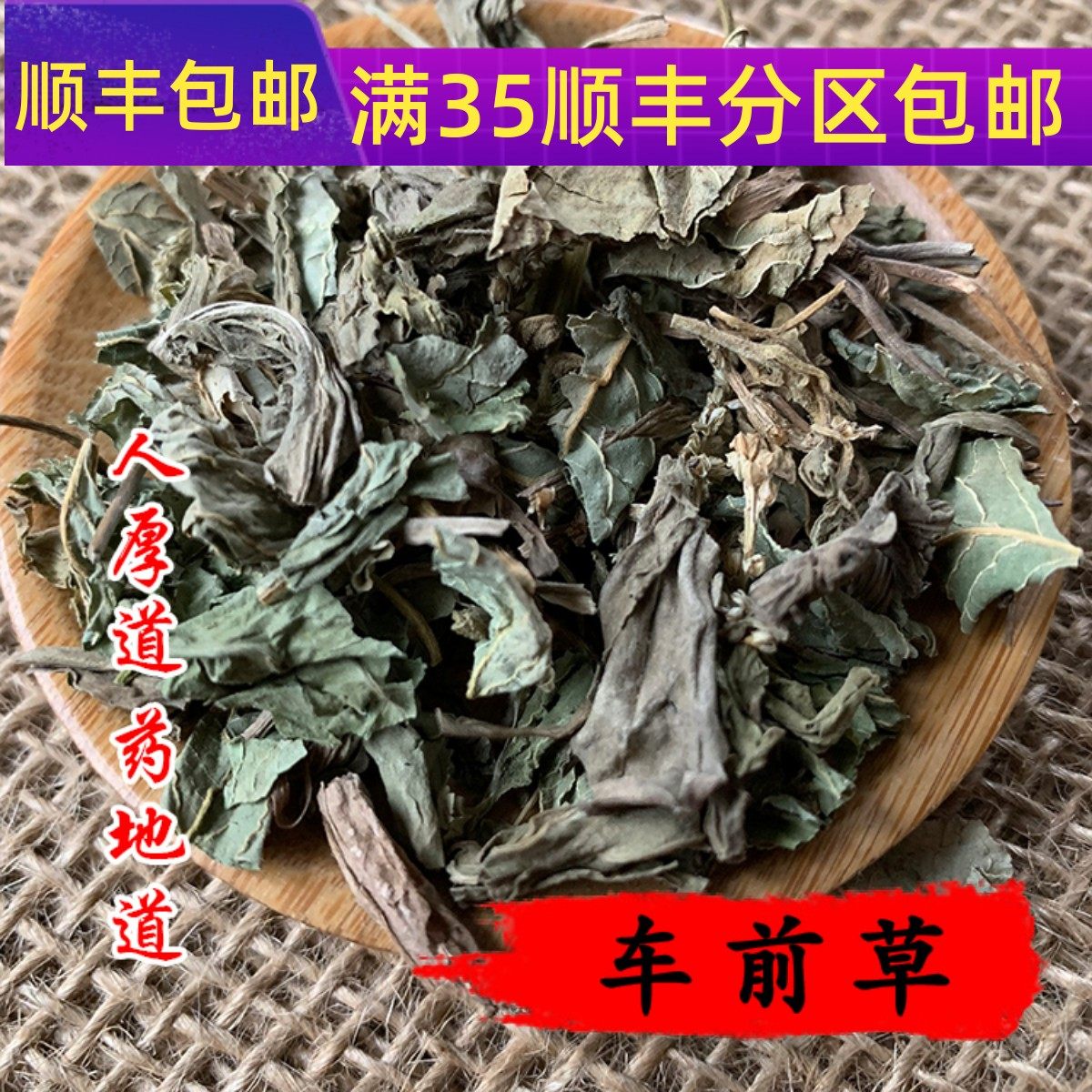 50g车前草可打粉满包邮