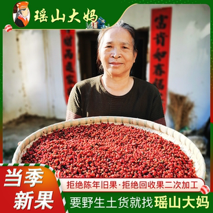 包邮 紫杉醇中草药500g今年新果 红豆杉果子干果实新鲜正品