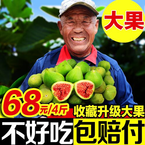 13年老店威海青皮无花果顺丰包邮