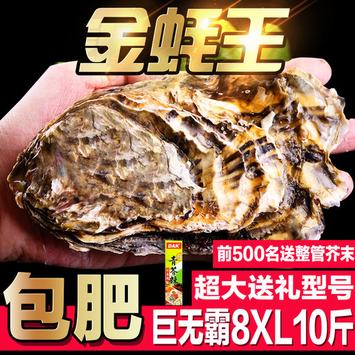 鲜活特大号正宗10斤8XL乳山生蚝