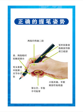 小学生正确握笔姿势坐姿永字八法墙贴纸汉字结构笔画顺序教室挂图